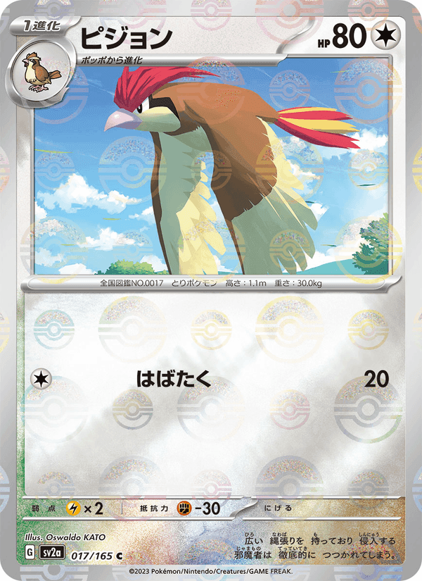 ピジョン printed card
