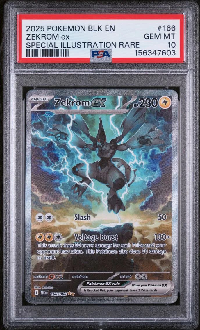 Zekrom ex slab