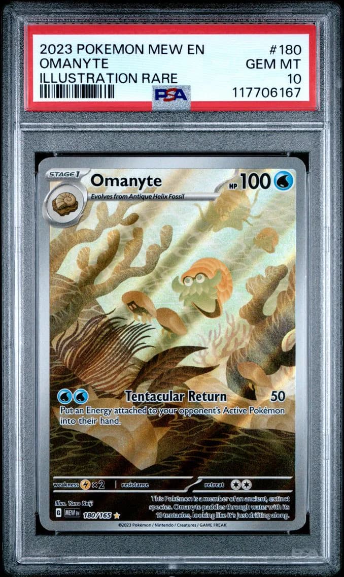 Omanyte slab
