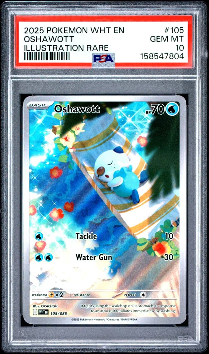 2025 #105 Oshawott PSA 10 Wht EN-White Flare