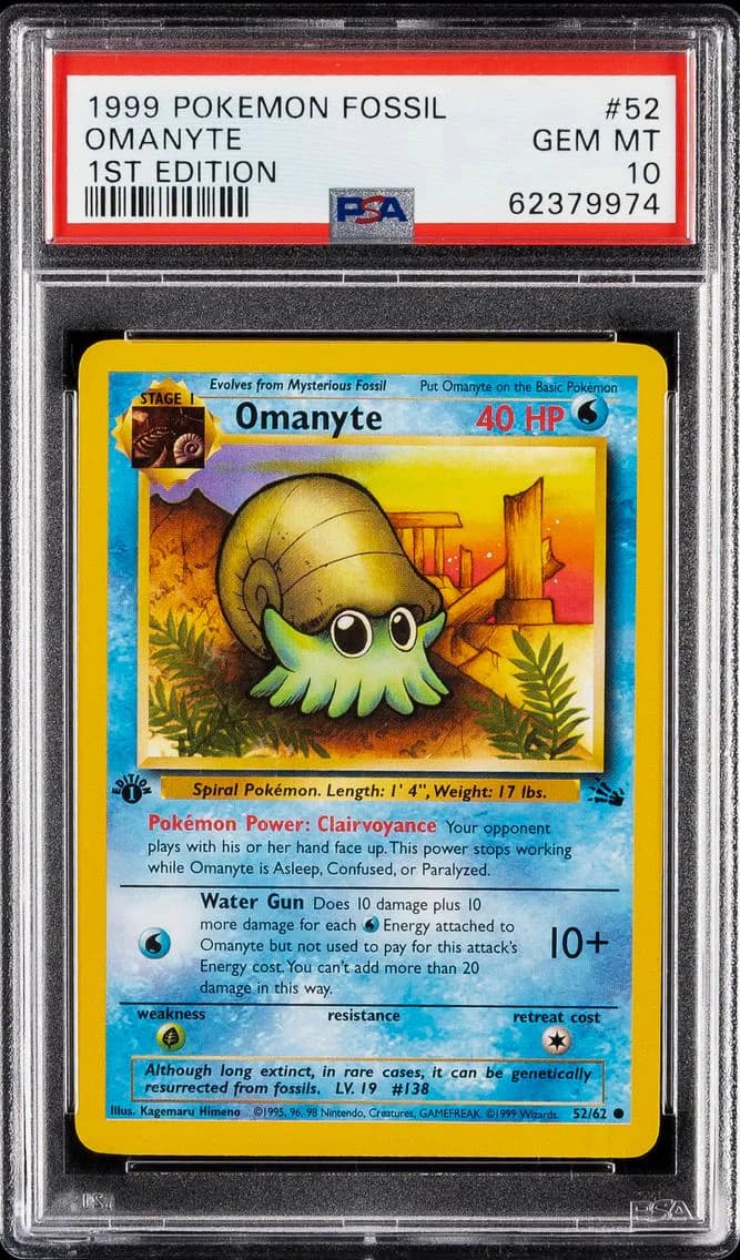 Omanyte slab