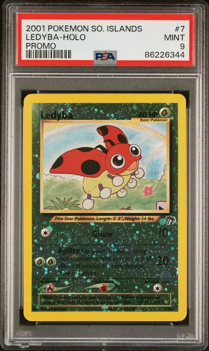 Ledyba slab