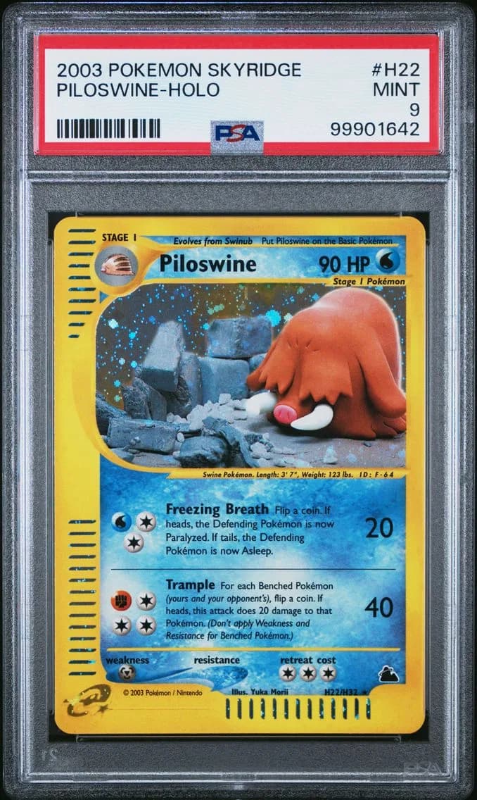 Piloswine slab
