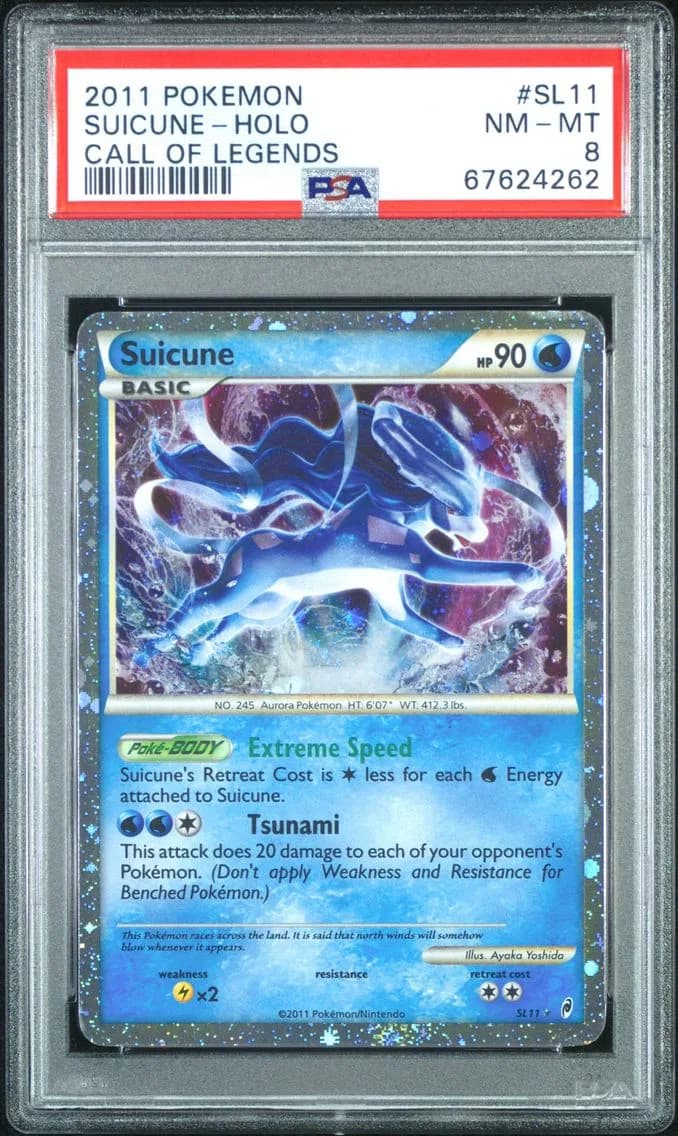 Suicune slab