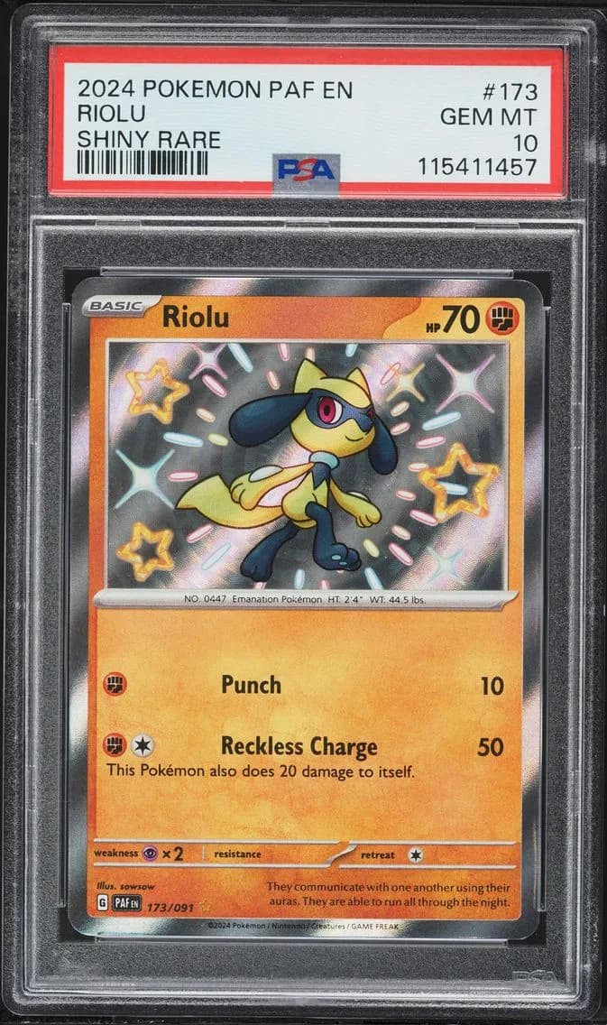 Riolu slab