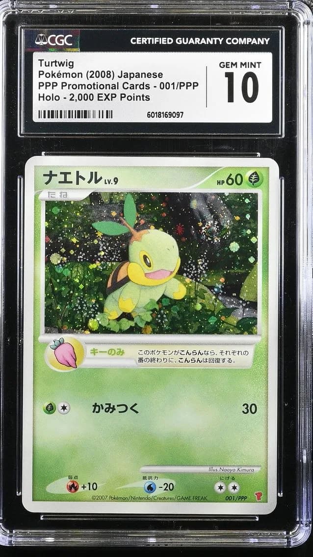 Turtwig slab