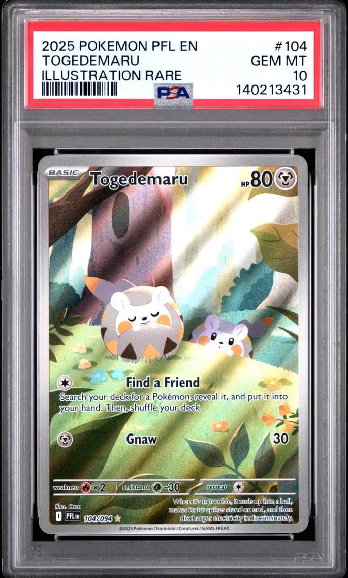 Togedemaru slab