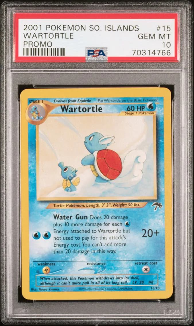 Wartortle slab