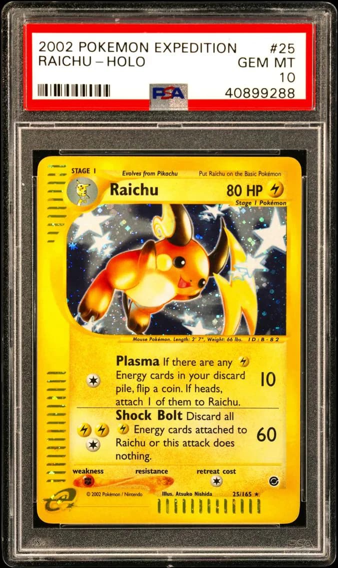 Raichu slab