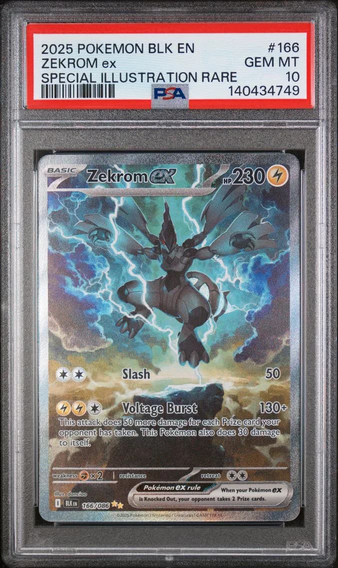 Zekrom ex slab