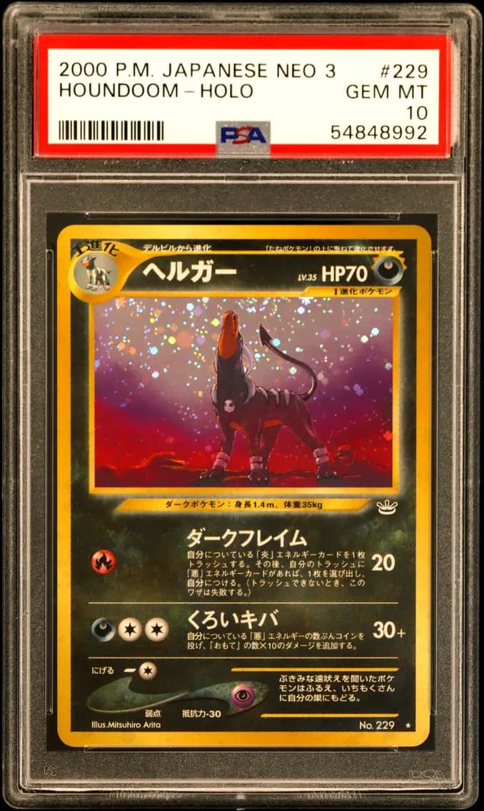 Houndoom slab