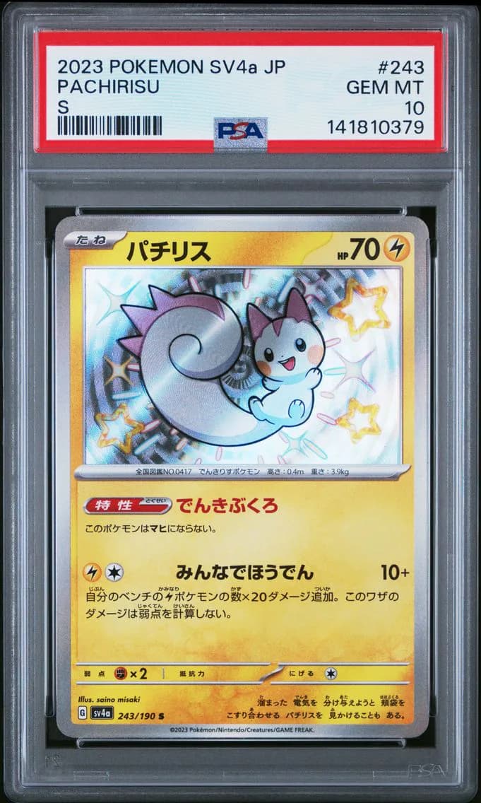 Pachirisu slab