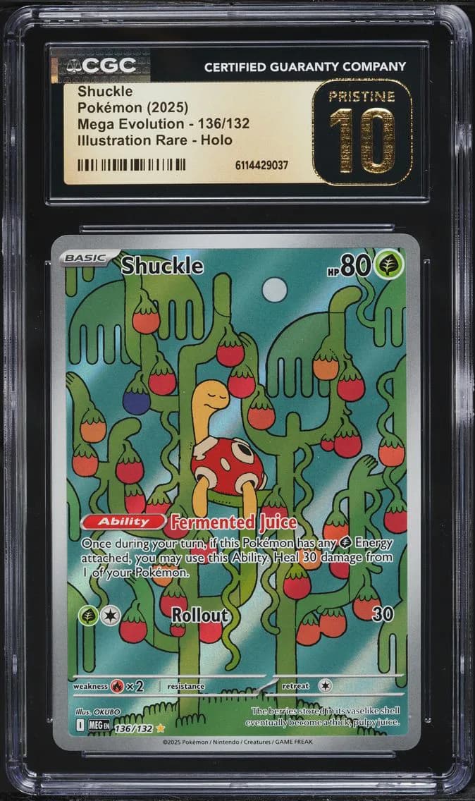 Shuckle slab