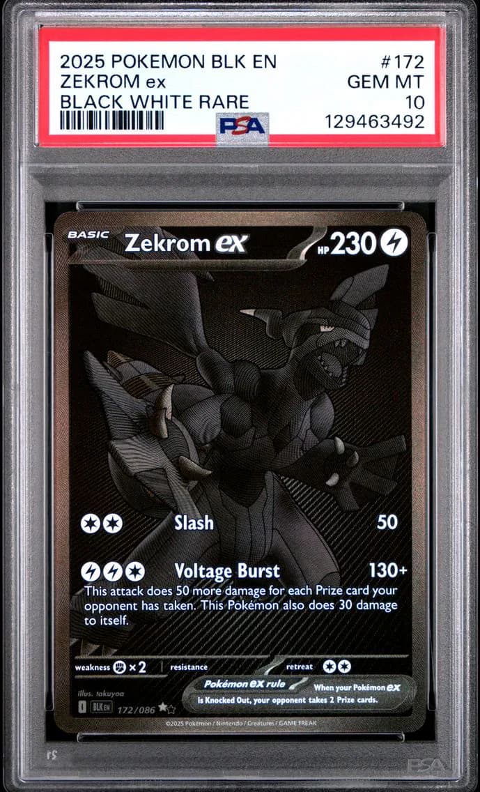 2025 #172 Zekrom EX PSA 10 Blk EN-Black Bolt
