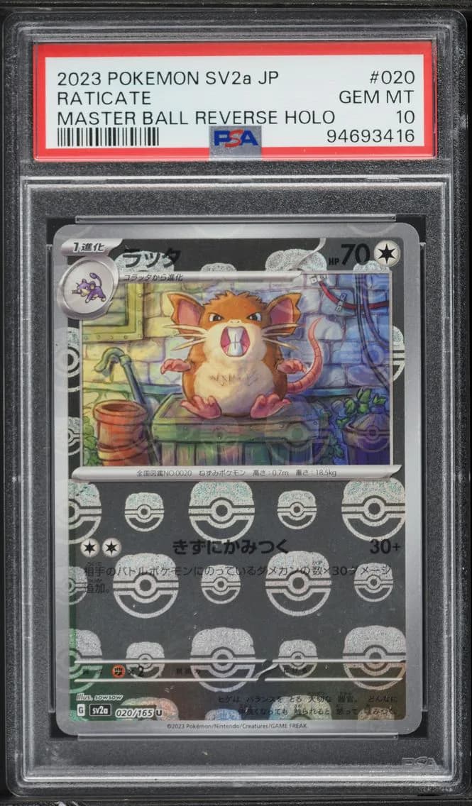 Raticate slab