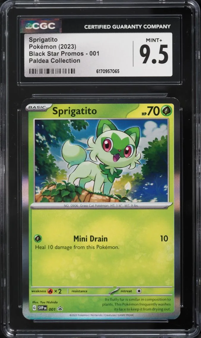 Sprigatito slab