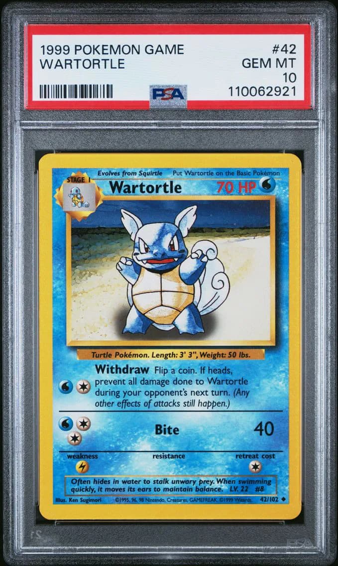 Wartortle slab