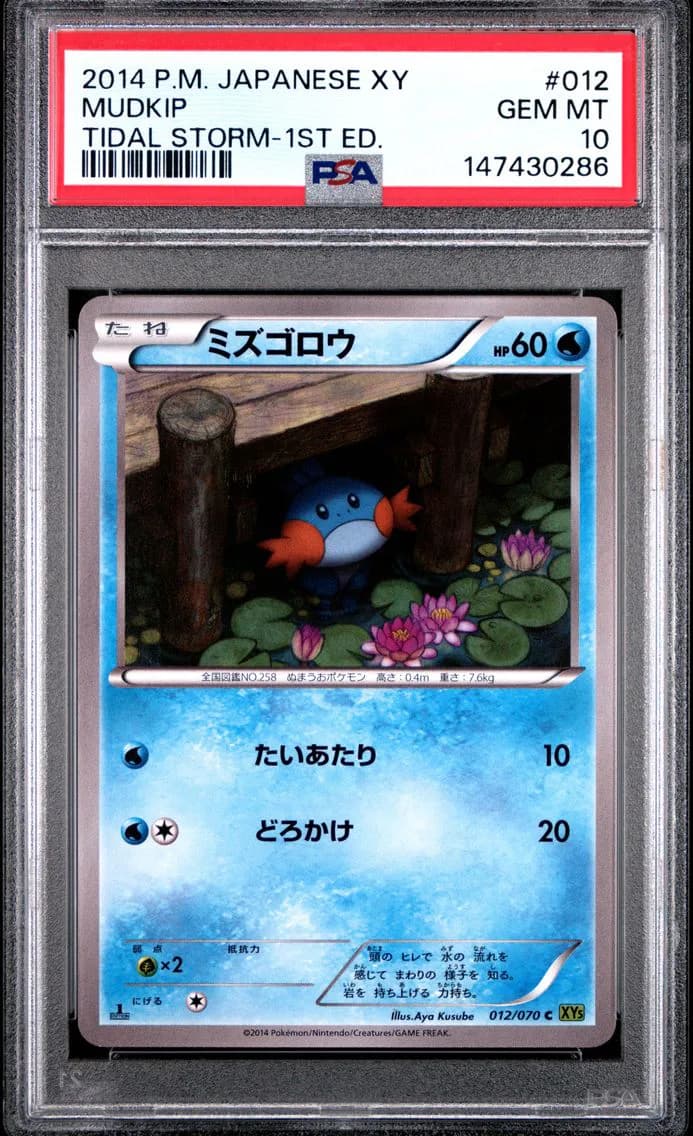 2014 #012 Mudkip 1st Edition PSA 10 Japanese XY Tidal Storm