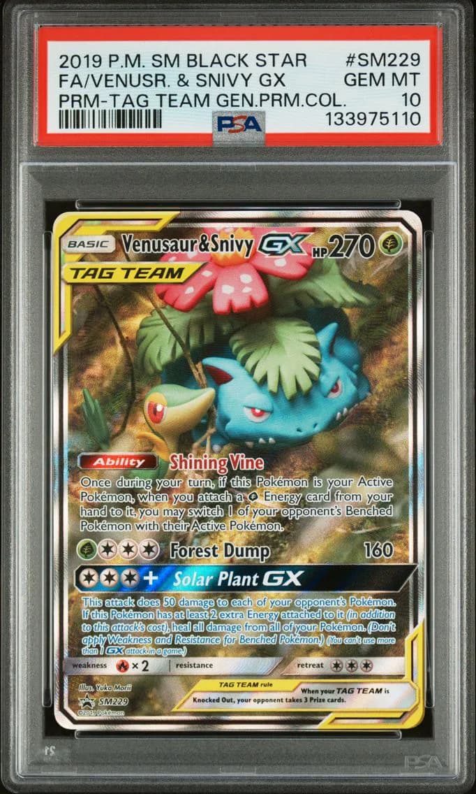 2019 #SM229 Full Art/Venusaur & Snivy GX PSA 10 SM Black Star Promo