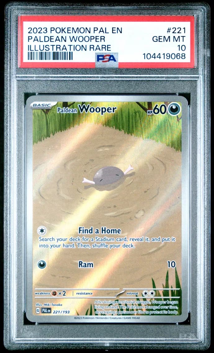 Paldean Wooper slab