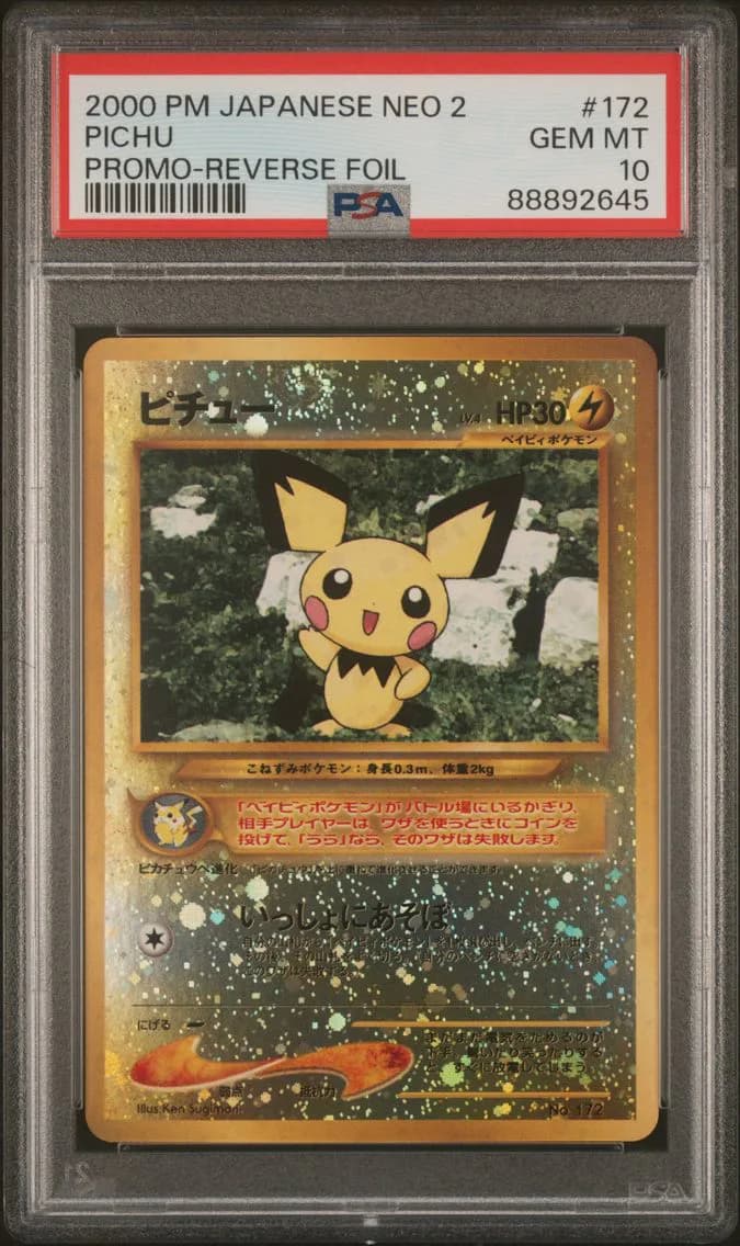 Pichu slab