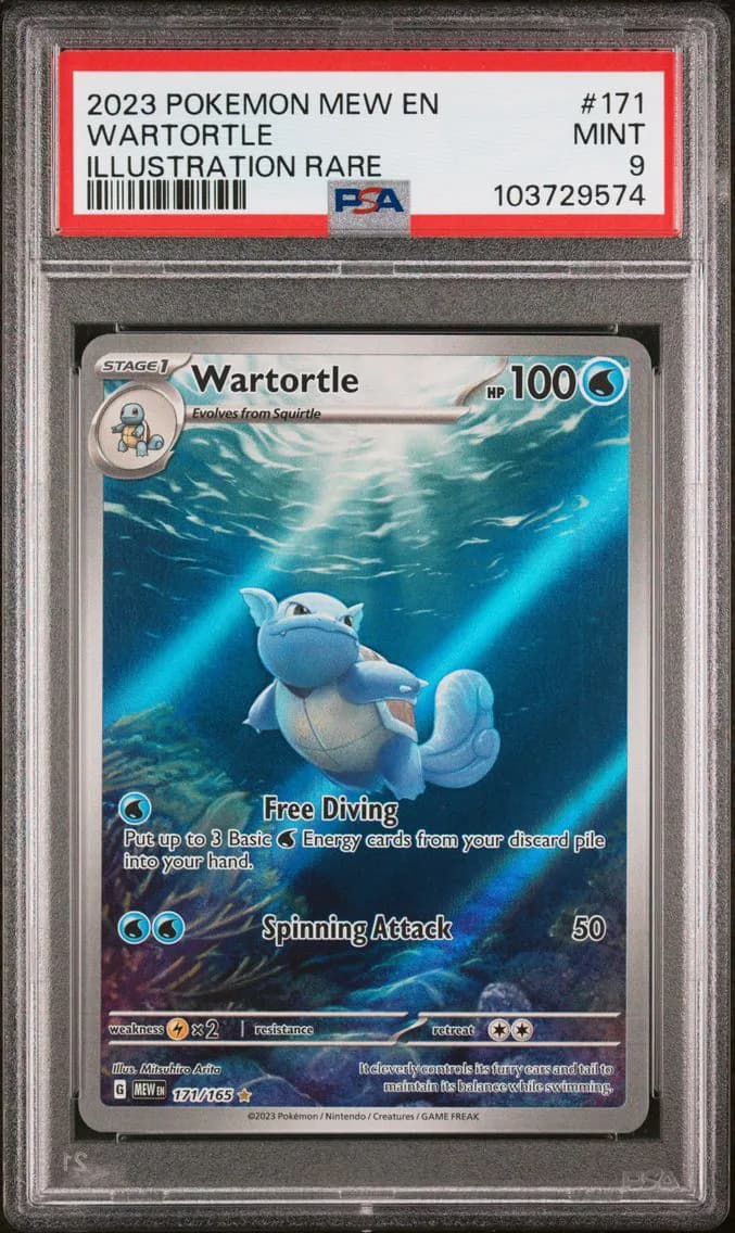 Wartortle slab