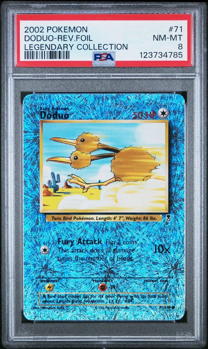 Doduo slab