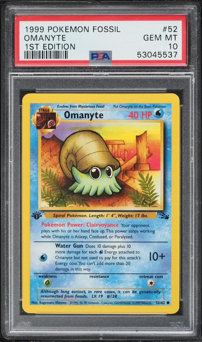Omanyte slab