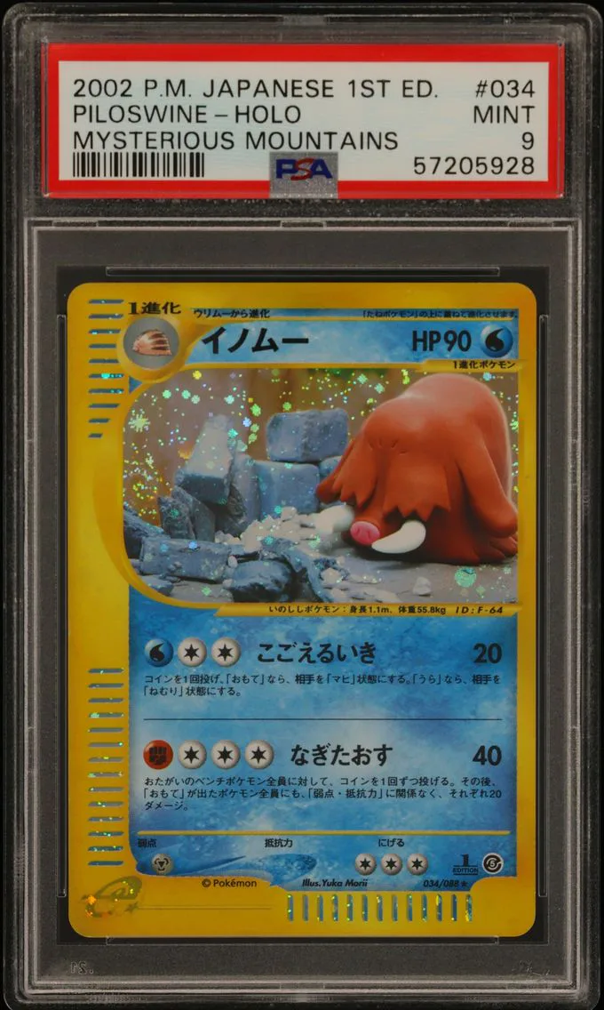 Piloswine slab