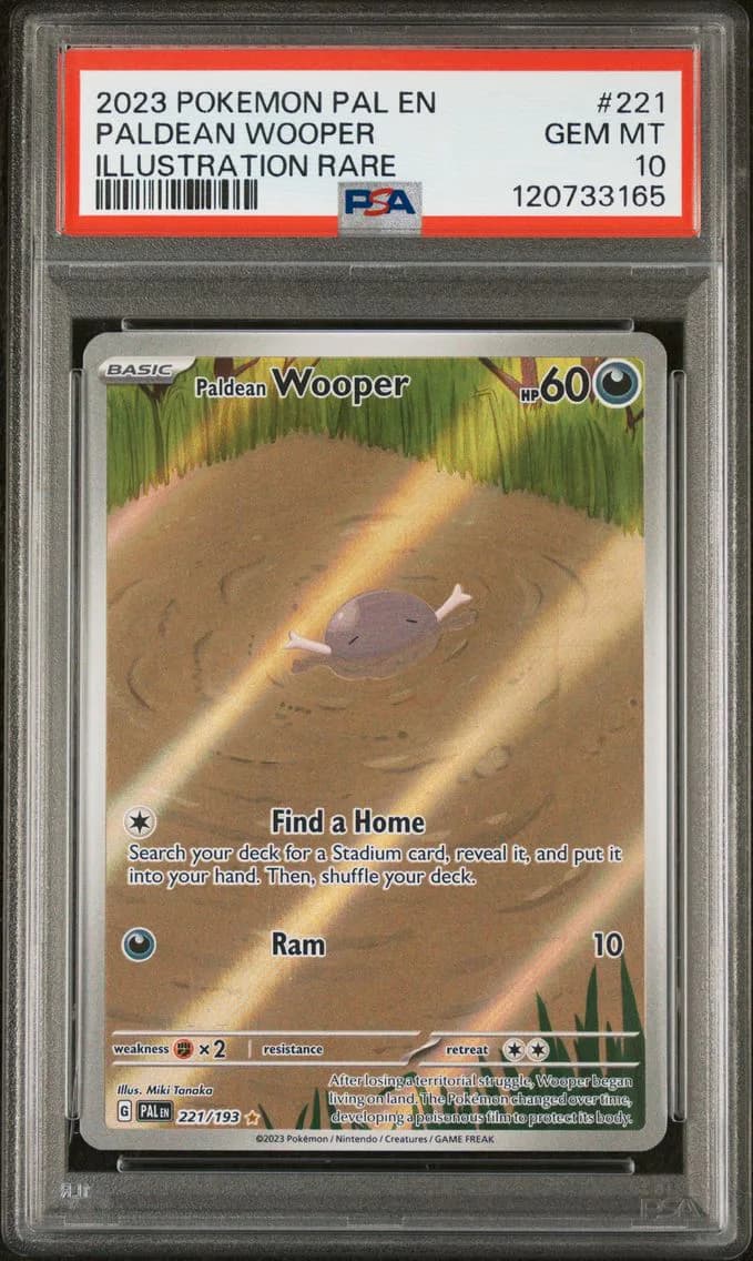 Paldean Wooper slab