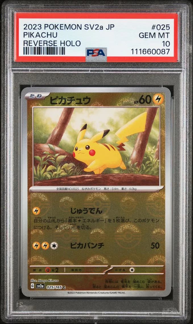 Pikachu slab