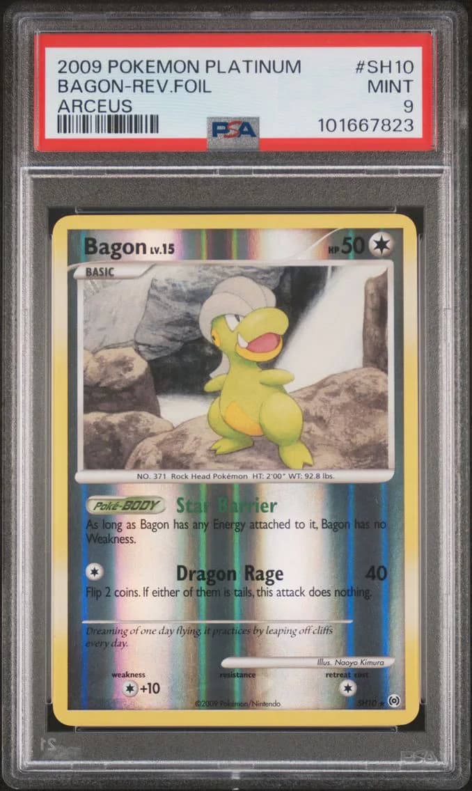 Bagon slab