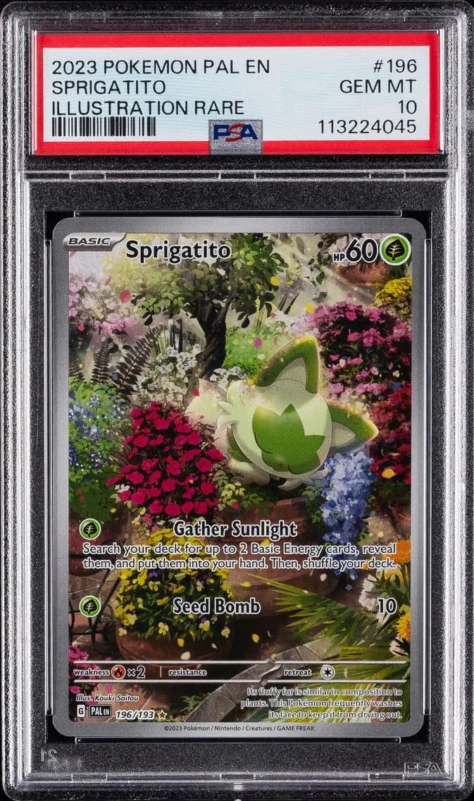 2023 #196 Sprigatito PSA 10 Pal EN-Paldea Evolved Pokemon