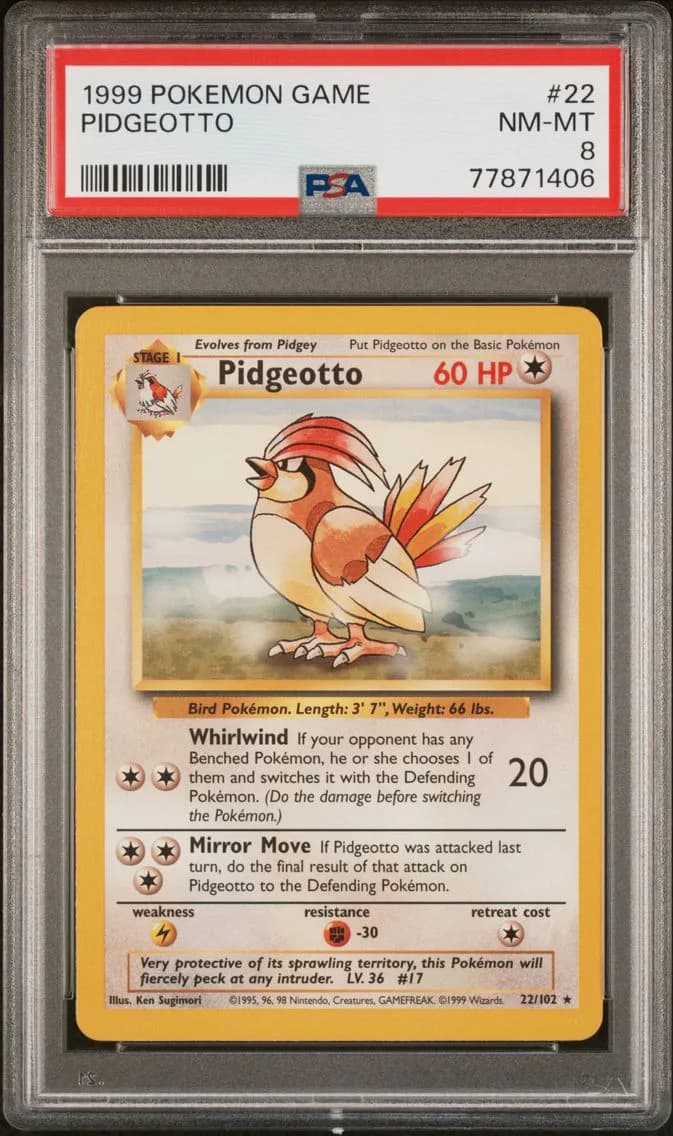 Pidgeotto slab