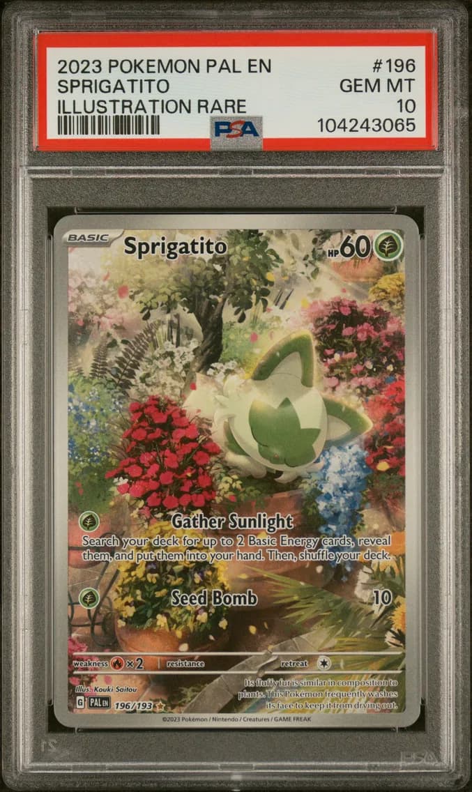 2023 #196 Sprigatito PSA 10 Pal EN-Paldea Evolved