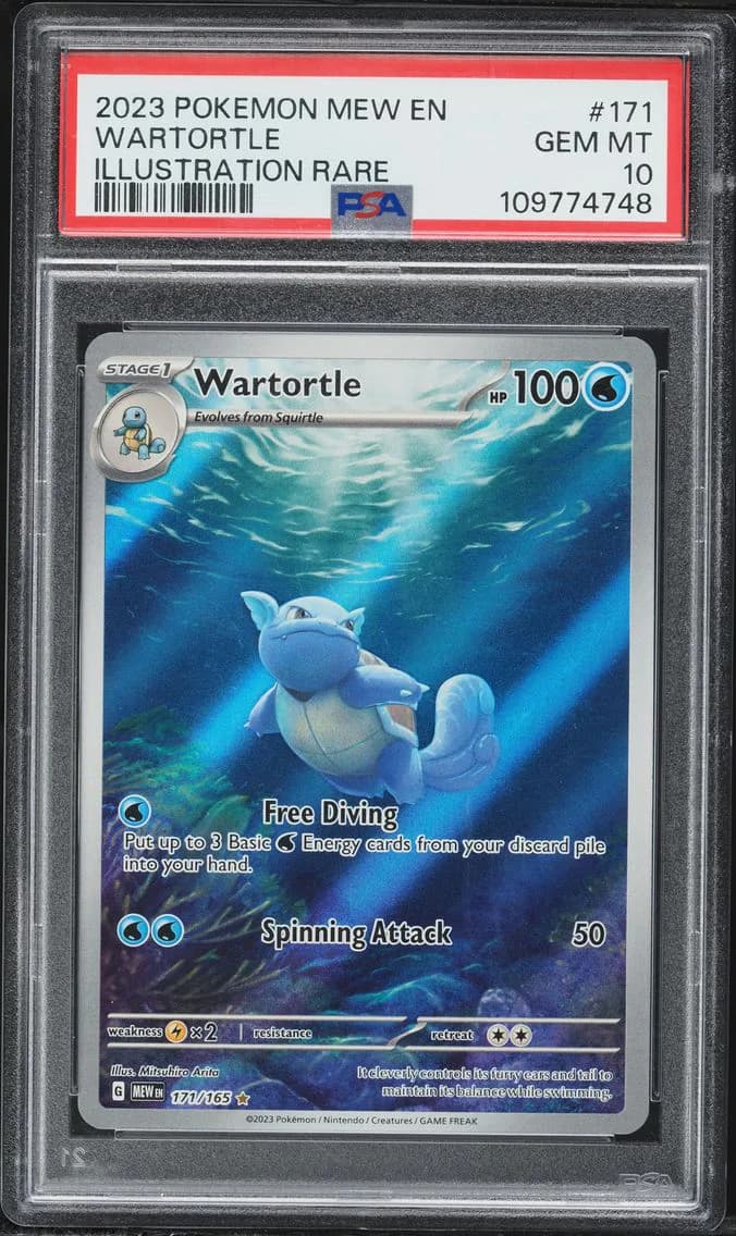 Wartortle slab