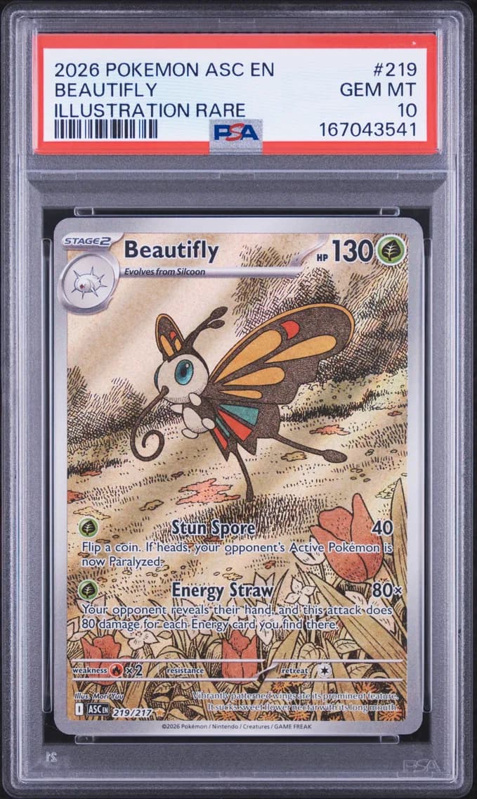 Beautifly slab