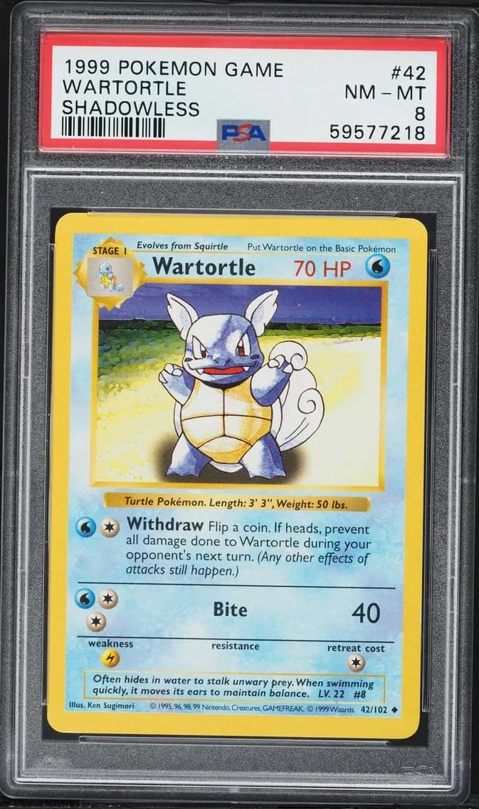 Wartortle slab