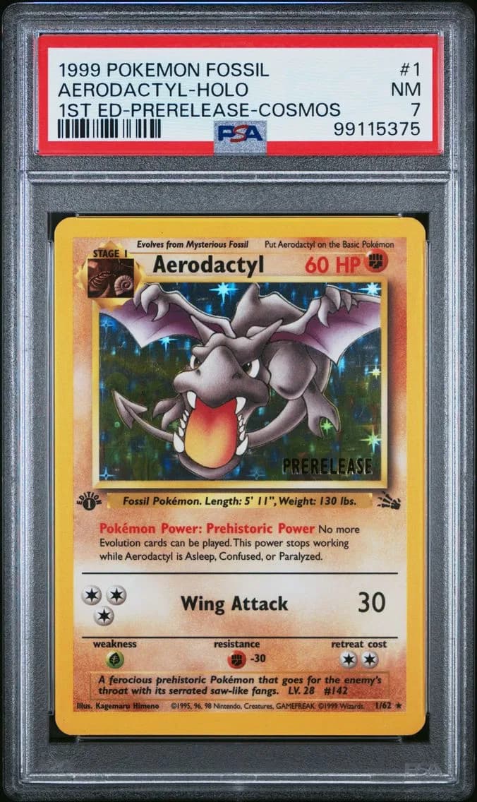 Aerodactyl slab