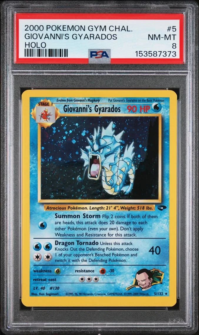 Giovanni's Gyarados slab