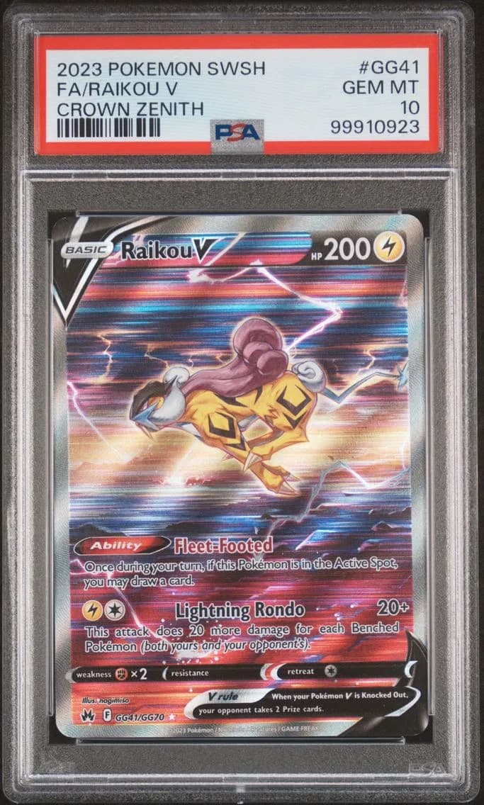 Raikou V slab