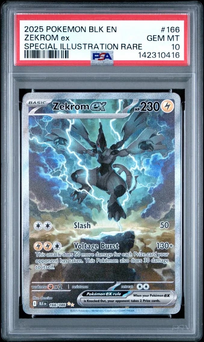 Zekrom ex slab