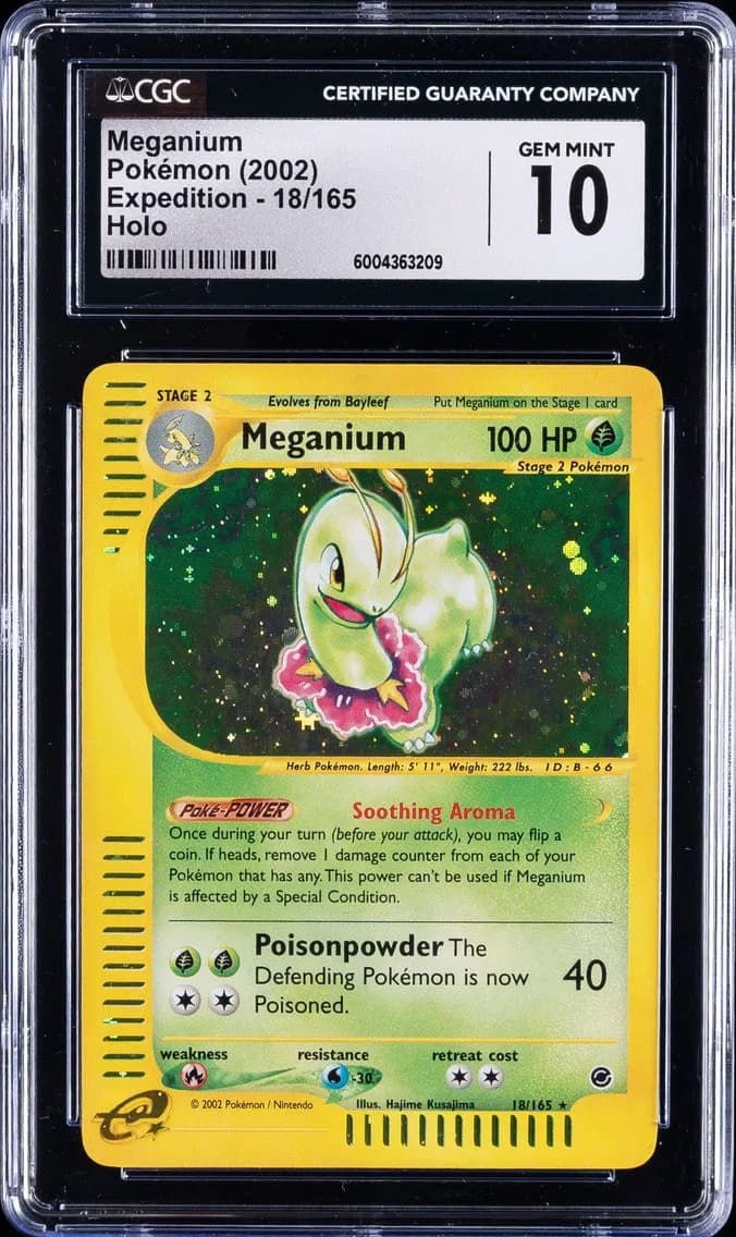 Meganium slab