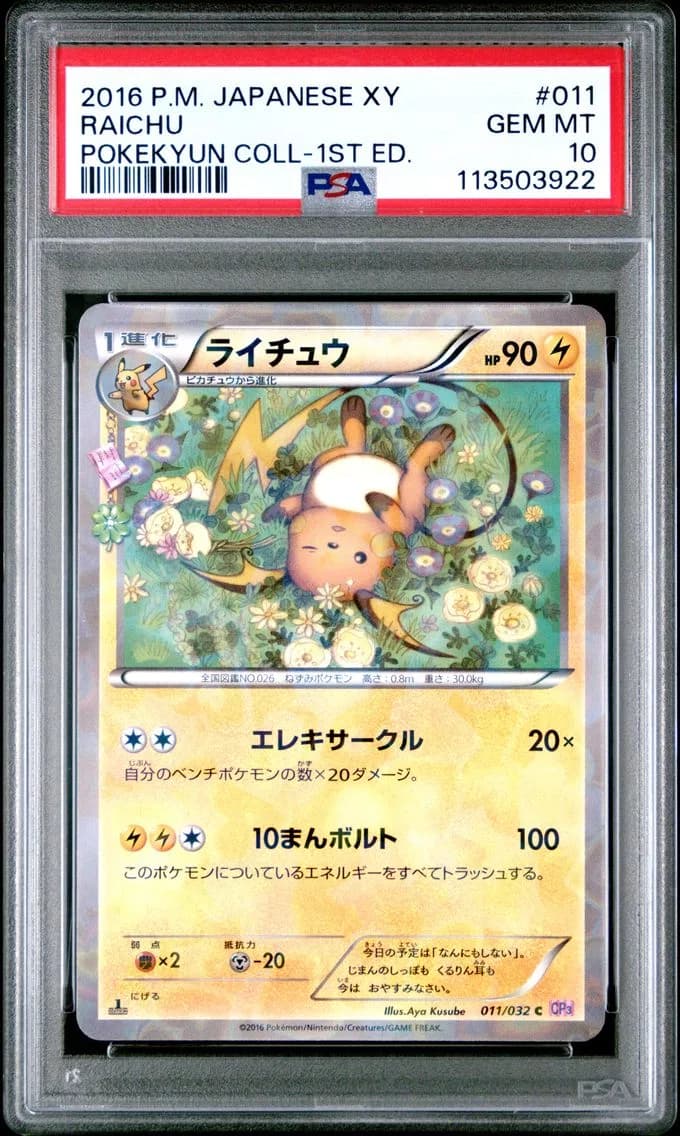 Raichu slab