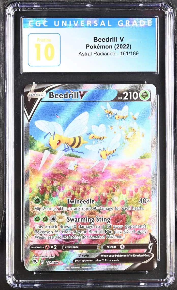 Beedrill V slab