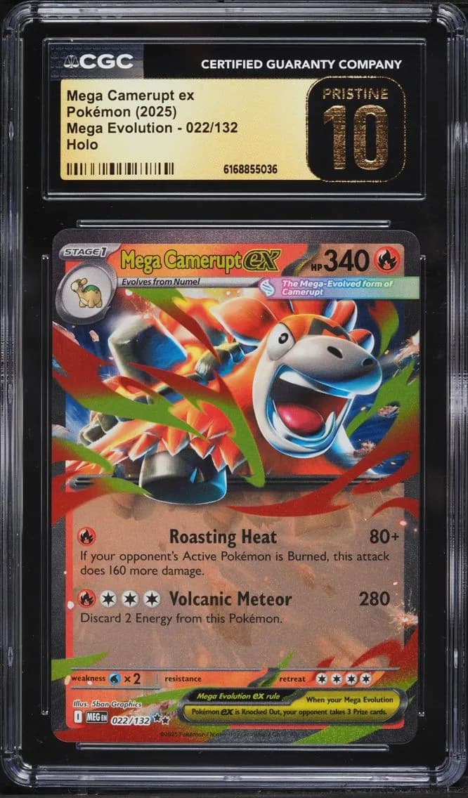 Mega Camerupt ex slab