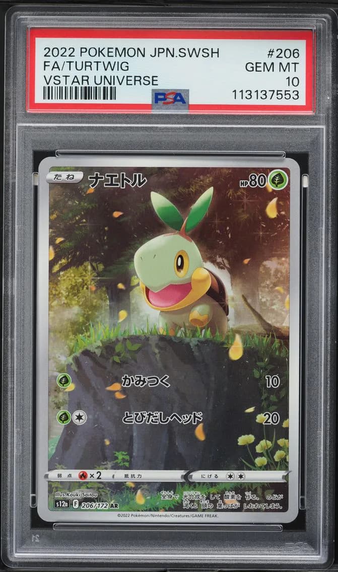 Turtwig slab