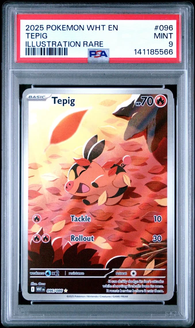 Tepig slab