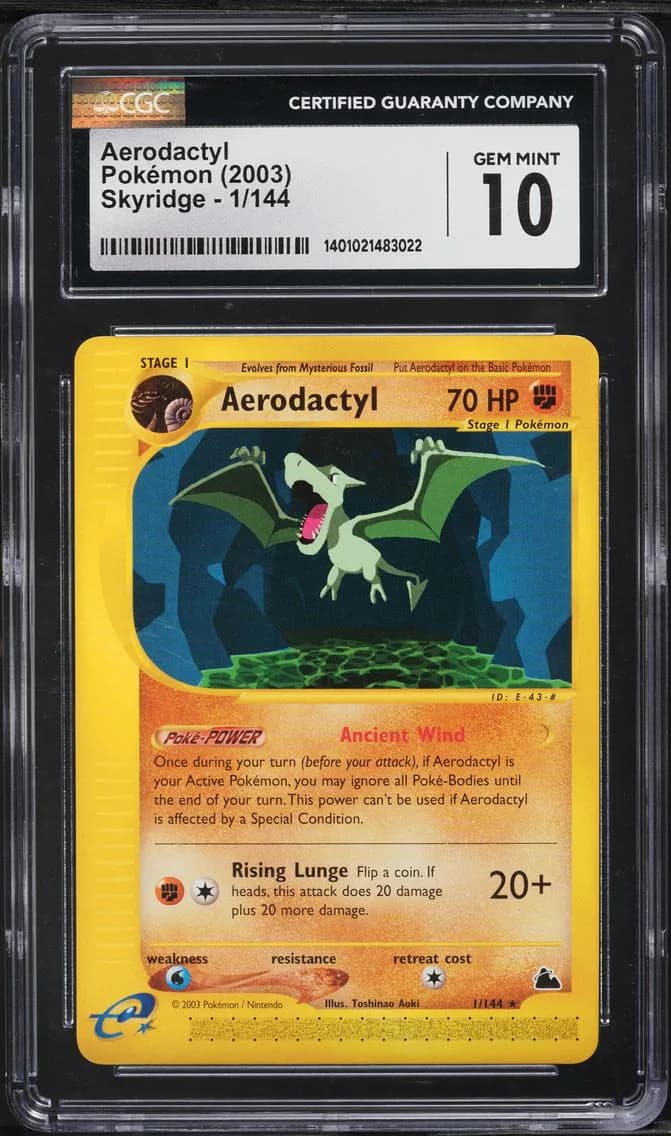 Aerodactyl slab