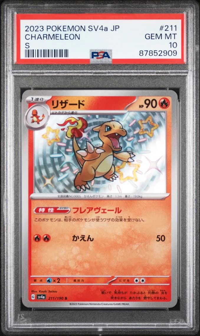 Charmeleon slab